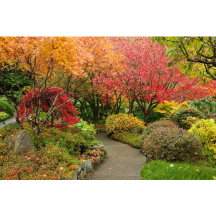 SUM70 SUMIN NAWÓZ UNIWERSALNY JESIENNY 1KG OPTYMALNY SKŁAD