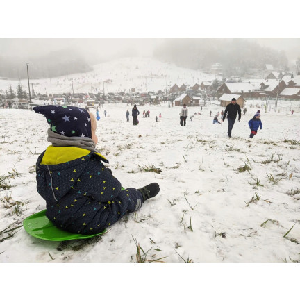 ISF-361C ŚLIZG JABŁUSZKO ślizgacz plastikowy FREE DO ZJEŻDŻANIA na ŚNIEGU ZIELONY