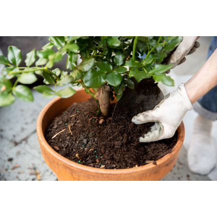 Ziemia do róż, podłoże do przesadzania kwiatów, specjalistyczne, z perlitem, Biovita 20l