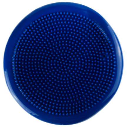 SP99 PODUSZKA SENSOMOTORYCZNA REHABILITACYJNA DYSK JEŻYK DO ĆWICZEŃ SENSORYCZNA