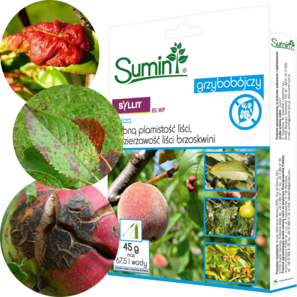SUM21 SYLLIT 65 WP 45G ŚRODEK GRZYBOBÓJCZY SUMIN
