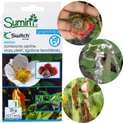 SUM43 ŚRODEK PREPARAT GRZYBOBÓJCZY SWITCH 25G NA SZARĄ PLEŚŃ