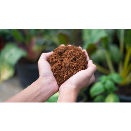 BIO16 BIOVITA COCO PEAT WŁÓKNO KOKOSOWE PODŁOŻE ROZLUŹNIONE 0-10MM 5L