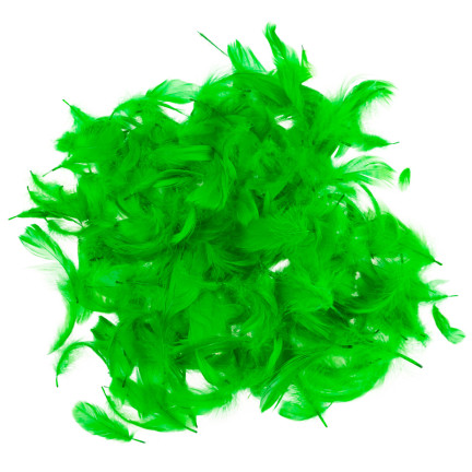 TG35906-4 PIÓRKA PIÓRA OZDOBNE DEKORACYJNE 10G ZIELONE jasne do RĘKODZIEŁA wielkanoc