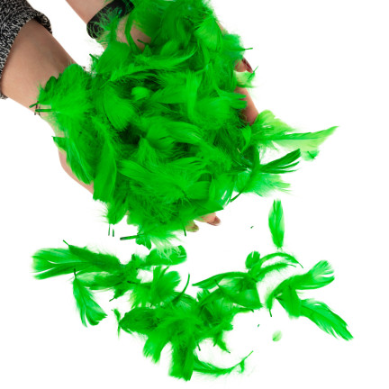 TG35906-4 PIÓRKA PIÓRA OZDOBNE DEKORACYJNE 10G ZIELONE jasne do RĘKODZIEŁA wielkanoc