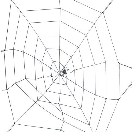 Sztuczna pajęczyna, czarna, z pająkiem, dekoracje Halloween, 150cm