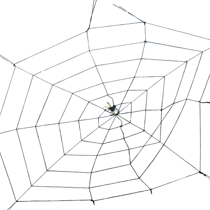 Sztuczna pajęczyna, czarna, z pająkiem, dekoracje Halloween, 150cm