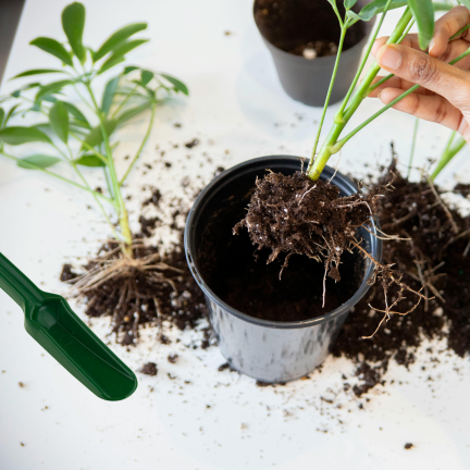 TG60501 ZESTAW DO PIKOWANIA SADZENIA WIDEŁKI PIKOWNIK DO ROŚLIN KOŁEK OGRODNICZY