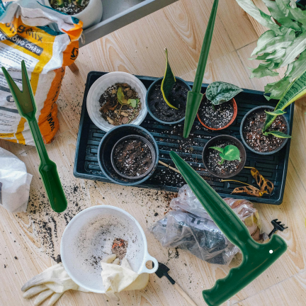 TG60501 ZESTAW DO PIKOWANIA SADZENIA WIDEŁKI PIKOWNIK DO ROŚLIN KOŁEK OGRODNICZY