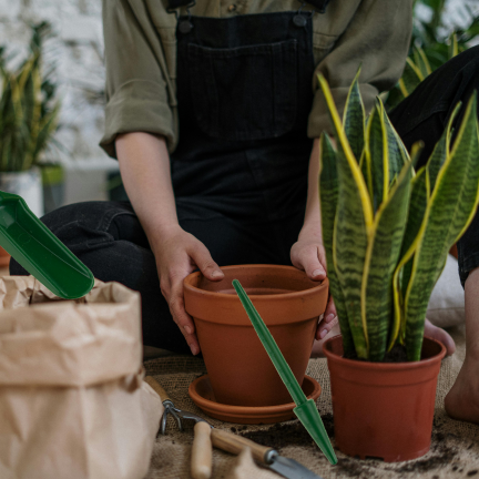 TG60501 ZESTAW DO PIKOWANIA SADZENIA WIDEŁKI PIKOWNIK DO ROŚLIN KOŁEK OGRODNICZY