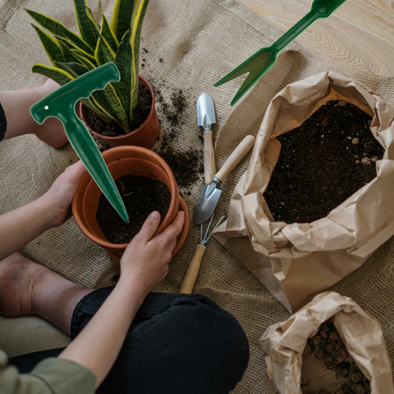 TG60501 ZESTAW DO PIKOWANIA SADZENIA WIDEŁKI PIKOWNIK DO ROŚLIN KOŁEK OGRODNICZY