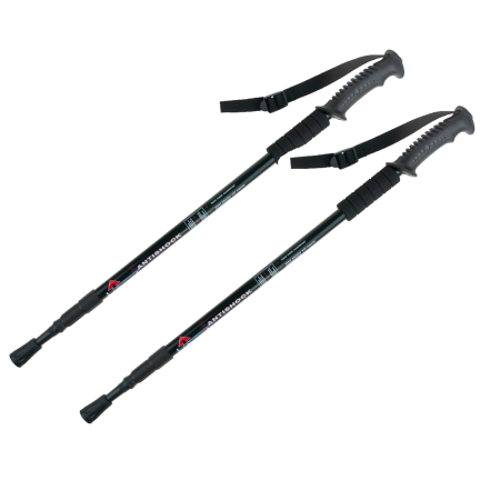 TG63153 KIJKI TREKKINGOWE DO NORDIC WALKING CHODZENIA REGULOWANE KIJE W GÓRY 2 szt