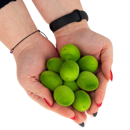 TG63639-8 JAJKA JAJA WELUROWE JAJECZKA OZDOBNE WIELKANOC 9SZT FLOKOWANE do STROIKA