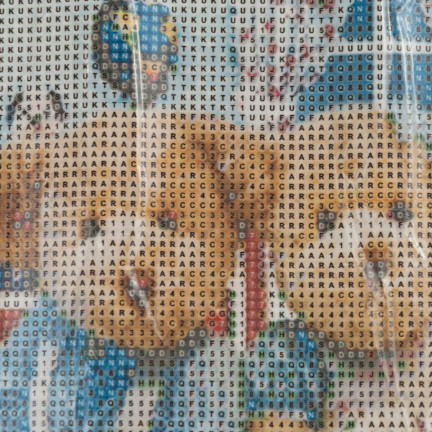 TG64203-4 HAFT DIAMENTOWY MALOWANIE DIAMENTAMI 3D MISIE