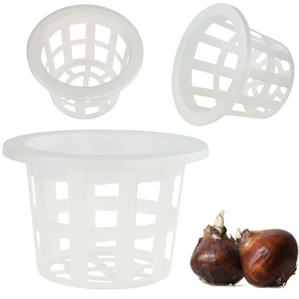 TG64627 KOSZYK OSŁONKA DO SADZENIA CEBUL CEBULEK OSŁONA KOSZYCZEK NA CEBULKI 8,5x13