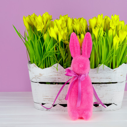 TG70520-5 KRÓLIK FLOKOWANY