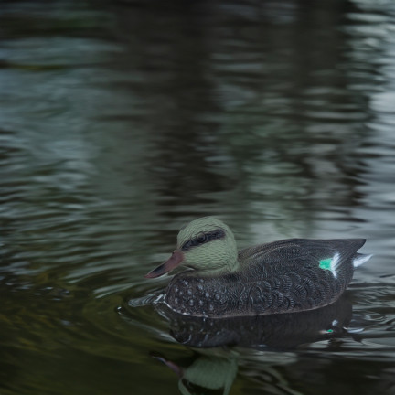 TG71079 PLASTIKOWA KACZKA KRZYŻÓWKA OUTDOOR PŁYWAJĄCA OZDOBA REALISTYCZNA