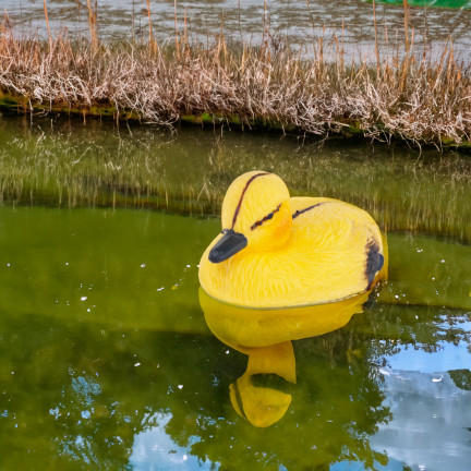 TG71081 KACZUSZKA PLASTIKOWA PŁYWAJĄCA KACZKA DO STAWU OCZKA WODNEGO FIGURKA