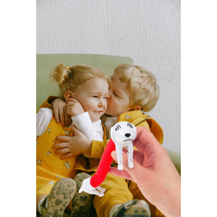 TG71095 PIES JAMNIK PIESEK DO ROZCIĄGANIA ANTYSTRESOWY UPOKAJAJĄCY POP TUBE ROZCIĄGLIWA ZABAWKA SPRĘŻYNA