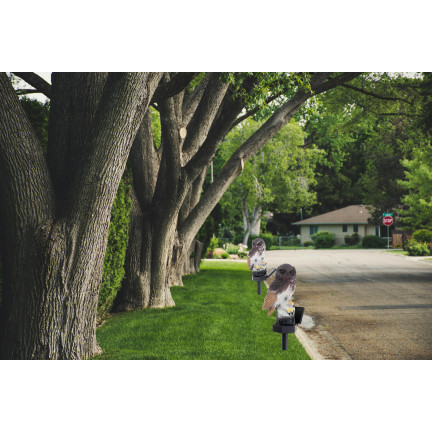 TG71281 LAMPA SOLARNA SOWA LED OGRODOWA DUŻA LAMPKA WBIJANA DEKORACJA DO OGRODU