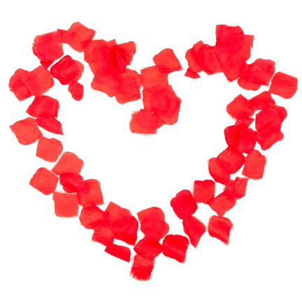 TG71326 KONFETTI PŁATKI RÓŻ CZERWONE TUBA STRZELAJĄCA NA ŚLUB ZARĘCZYNY WALENTYNKI WESELE