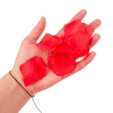 TG71326 KONFETTI PŁATKI RÓŻ CZERWONE TUBA STRZELAJĄCA NA ŚLUB ZARĘCZYNY WALENTYNKI WESELE