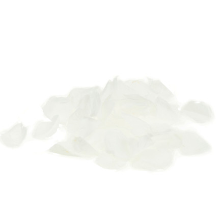 TG71329 KONFETTI PŁATKI RÓŻ BIAŁE TUBA STRZELAJĄCA NA ŚLUB ZARĘCZYNY WALENTYNKI WESELE