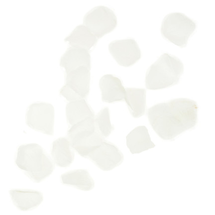 TG71329 KONFETTI PŁATKI RÓŻ BIAŁE TUBA STRZELAJĄCA NA ŚLUB ZARĘCZYNY WALENTYNKI WESELE