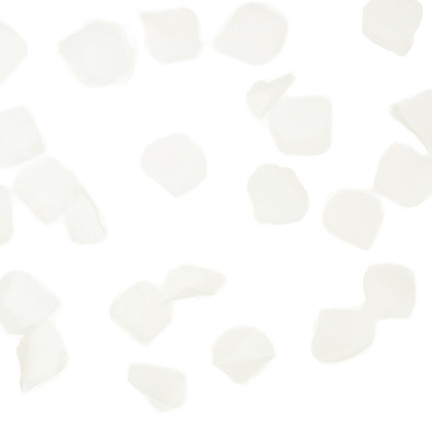 TG71329 KONFETTI PŁATKI RÓŻ BIAŁE TUBA STRZELAJĄCA NA ŚLUB ZARĘCZYNY WALENTYNKI WESELE