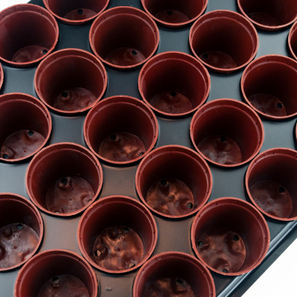 TG71426 DONICZKI PRODUKCYJNE multiplaty DO ROZSAD WYSIEWU SADZONEK 40SZT + PALETKA