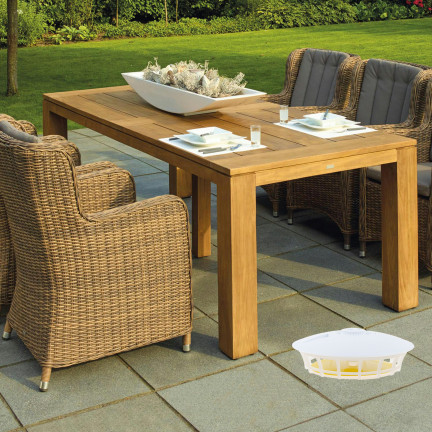 TG72971 ELEKTRYCZNA ŁAPKA NA PCHŁY PLUSKWY KARALUCHY MUCHY KOMARY ĆMY USB BATERIE