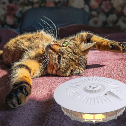 TG72971 ELEKTRYCZNA ŁAPKA NA PCHŁY PLUSKWY KARALUCHY MUCHY KOMARY ĆMY USB BATERIE