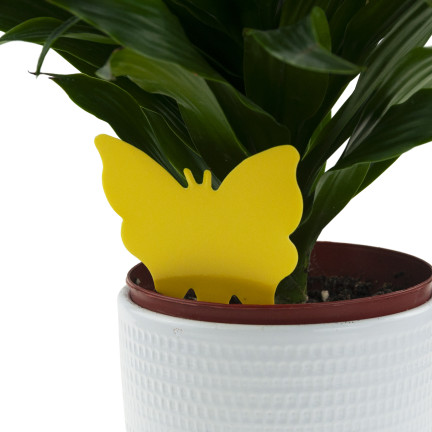 TG72972 PUŁAPKA NA KOMARY 2SZT MUSZKI OWOCÓWKI ZIEMIÓRKI LEPY DO DONICZKI PODSTAWKA