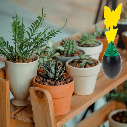 TG72972 PUŁAPKA NA KOMARY 2SZT MUSZKI OWOCÓWKI ZIEMIÓRKI LEPY DO DONICZKI PODSTAWKA