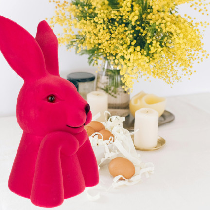 TG76817-4 KRÓLIK PLASTIK FLOKOWANY