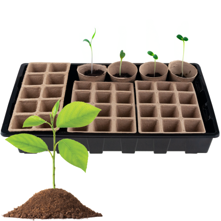 TG77613 MINISZKARNIA ZESTAW DO ROZSAD DO SADZONEK DONICZKI TORFOWE SZKLARENKA ROZSA