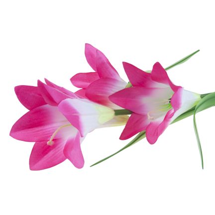 TG77663 LAMPA SOLARNA KWIATY LILIE DO OGRODU BALKON WBIJANE LILIA CZUJNIK ZMIERZCHU