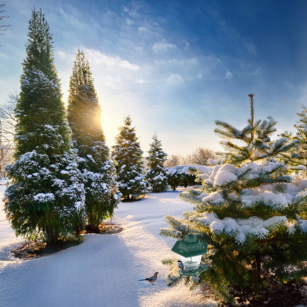 TG80444 KARMNIK DLA PTAKÓW NA KARMĘ ZIARNA PASZĘ NA OKNO PRZEZROCZYSTY Z DASZKIEM POIDEŁKO
