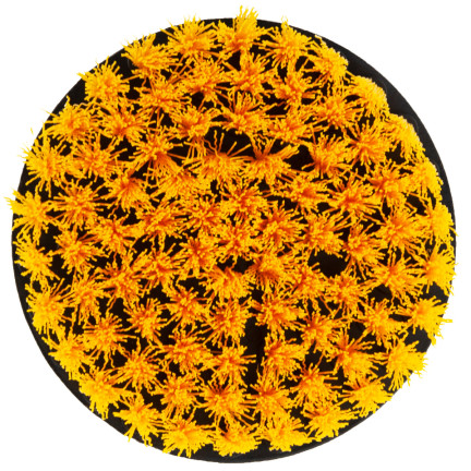 TM-00410 SZCZOTKI CZYSZCZĄCE SPRZĄTAJĄCE NA WIERTARKĘ WKRĘTARKĘ 4szt ZESTAW