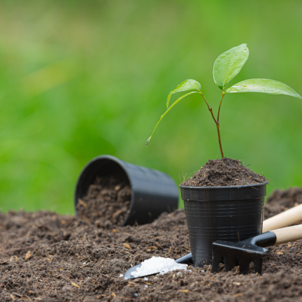 BIO5 ZIEMIA DO WYSIEWU NASION GOTOWA PIKOWANIA ROZSADY Z WŁÓKNEM KOKOSOWYM 5L