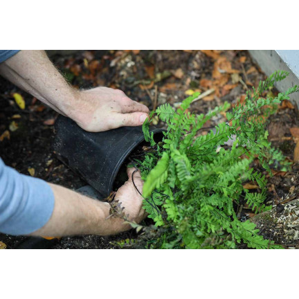 Ziemia do paproci, podłoże do roślin wzbogacone nawozem, optymalny skład, dobry przepływ powietrza, Biovita 5l