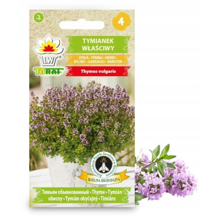 Z3035 TYMIANEK WŁAŚCIWY NASIONA ZIÓŁ ZIOŁA PRZYPRAWY AROMATYCZNY 0,3G
