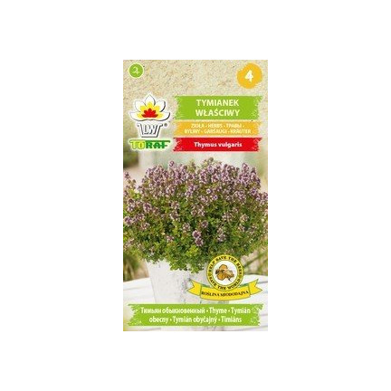 Z3035 TYMIANEK WŁAŚCIWY NASIONA ZIÓŁ ZIOŁA PRZYPRAWY AROMATYCZNY 0,3G