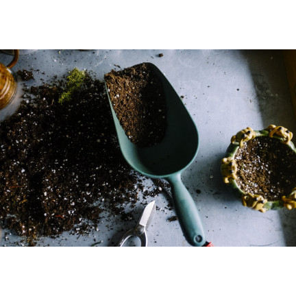 BIO5 ZIEMIA DO WYSIEWU NASION GOTOWA PIKOWANIA ROZSADY Z WŁÓKNEM KOKOSOWYM 5L