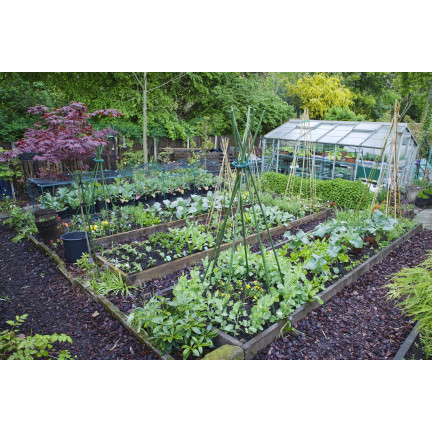 SUM55 OBORNIK KURZY GRANULOWANY 8L NAWÓZ NATURALNY SUMIN