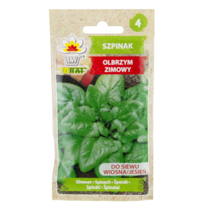 W0326 SZPINAK OLBRZYM ZIMOWY 10G NASIONA SZPINAKU OLBRZYMIEGO