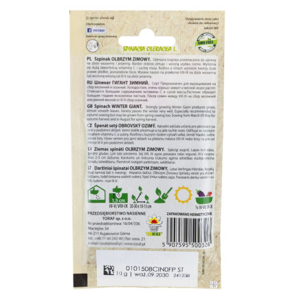 W0326 SZPINAK OLBRZYM ZIMOWY 10G NASIONA SZPINAKU OLBRZYMIEGO