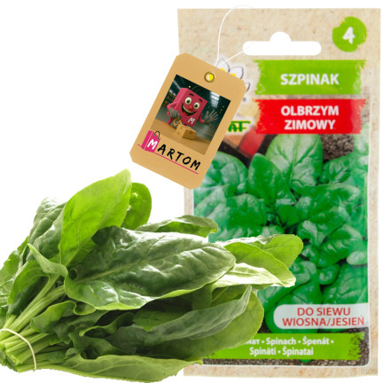 W0326 SZPINAK OLBRZYM ZIMOWY 10G NASIONA SZPINAKU OLBRZYMIEGO