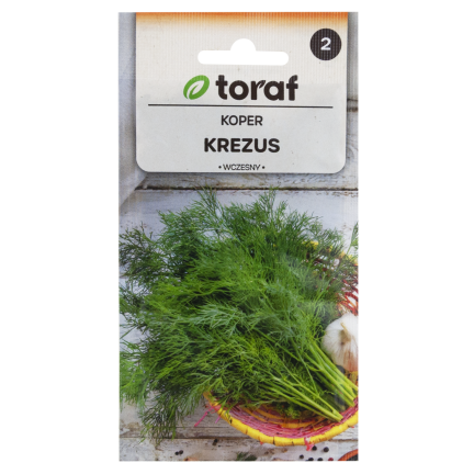 W1093 KOPER NASIONA KOPRU OGRODOWY KREZUS WCZESNY DO KISZENIA 5G