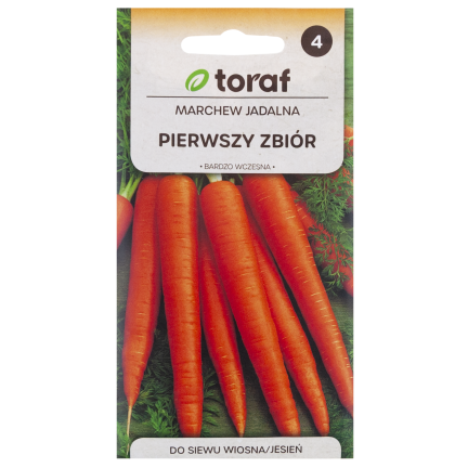 W1109 MARCHEW NASIONA MARCHWI PIERWSZY ZBIÓR B. WCZESNA MARCHEWKI SOCZYSTA NA SOK